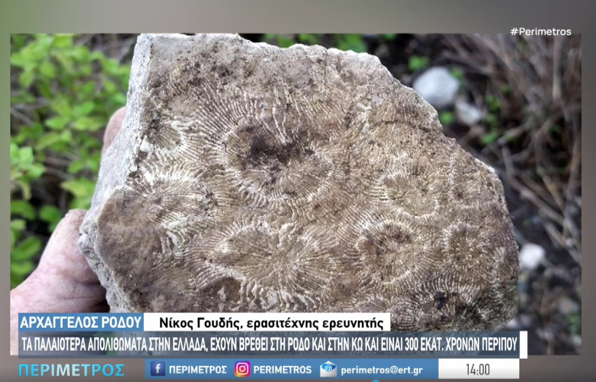 «Ανακάλυψη Σοκ! Ερασιτέχνης Παλαιοντολόγος στην Ρόδο Αποκαλύπτει Απίθανα Απολιθώματα Εκατομμυρίων Χρόνων!»