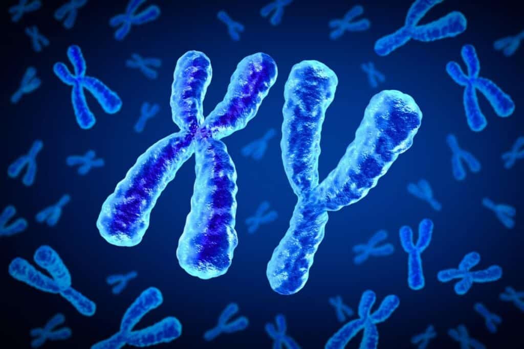 «Τι συμβαίνει με το χρωμόσωμα Y; Το νέο γονίδιο φύλου που μπορεί να αλλάξει για πάντα το μέλλον των ανδρών!»