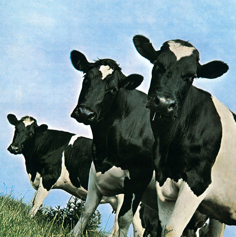 «Σαρωτική Κίνηση Τραμπ: Διατάζει Επείγουσα Λύση για Μείωση Τιμών Βοείου Κρέατος!»