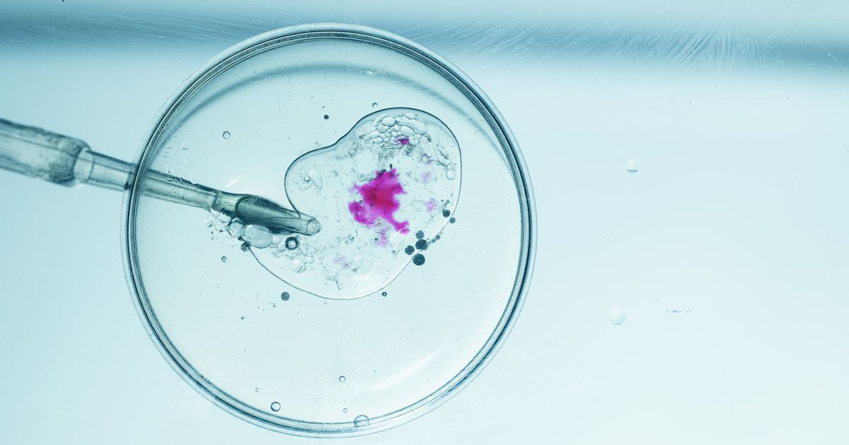 Ανακαλύφθηκαν τα Πιο Εξελιγμένα Εμβρυϊκά Μοντέλα: Η Επανάσταση στη Βιολογία είναι Εδώ!