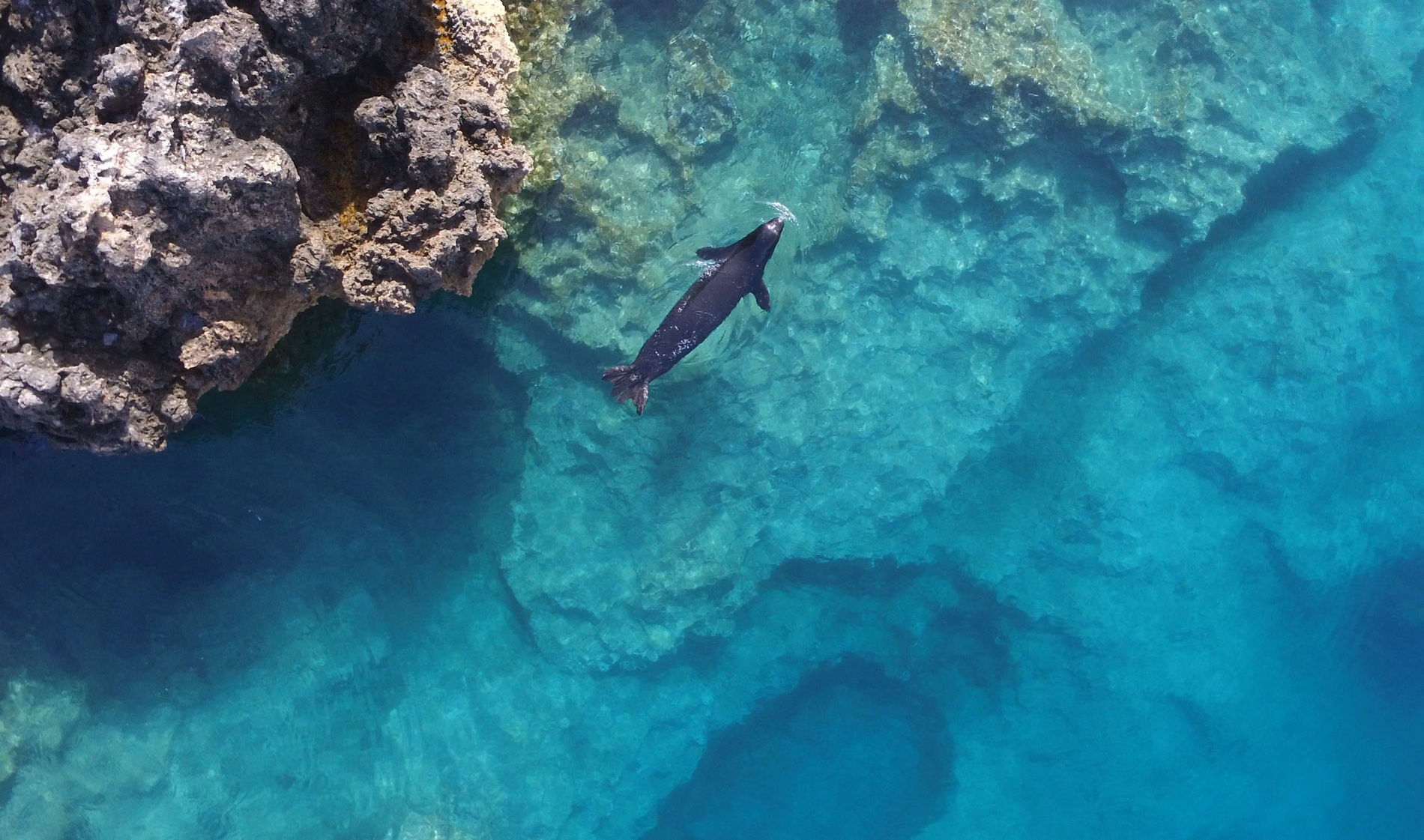 Ελληνική Τραγωδία: Απομονωμένοι σε Σπηλιές για να Γλιτώσουν από τους Τουρίστες!