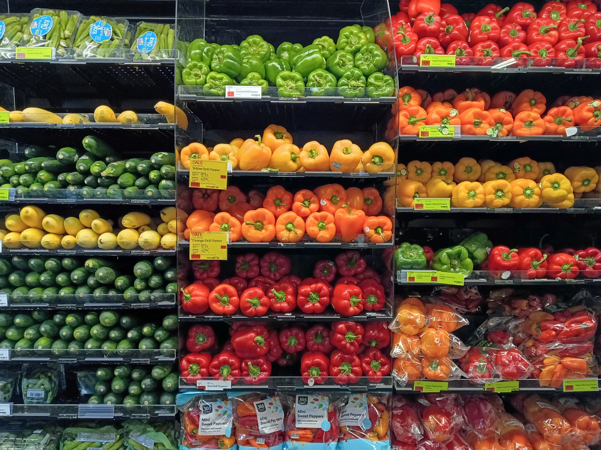 Motorola Moto G Play (2026): Ένα Φθηνό Smartphone που Σίγουρα Δεν Θέλεις! Δείγμα κάμερας Motorola Moto G Play (2026).