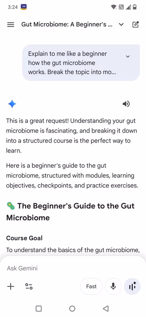 Στιγμιότυπο οθόνης που δείχνει μια προτροπή στην εφαρμογή Gemini που ζητά μίνι μάθημα