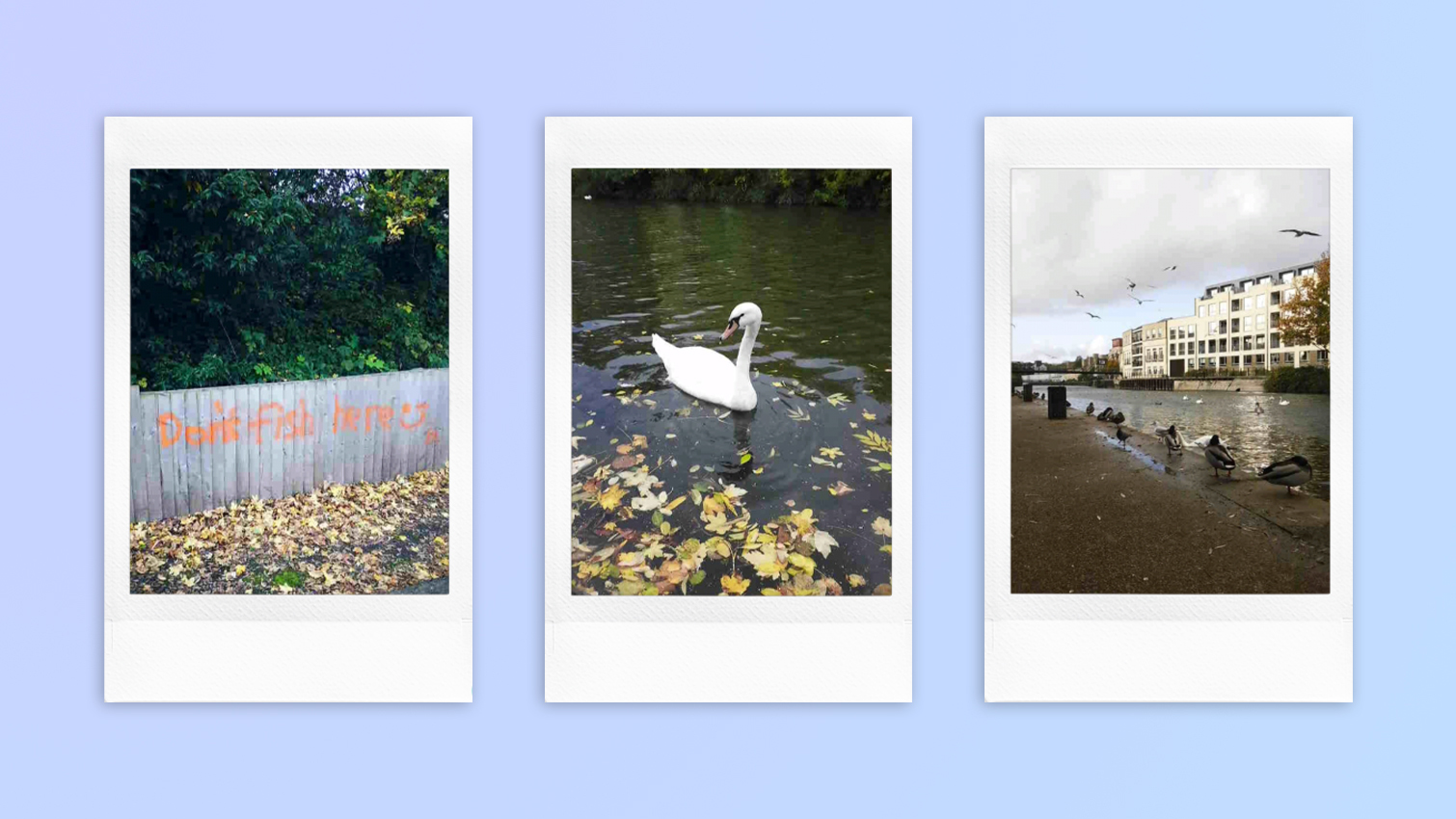 Instant photo prints taken on a Fujifilm Instax mini LiPlay Plus hybrid instant camera