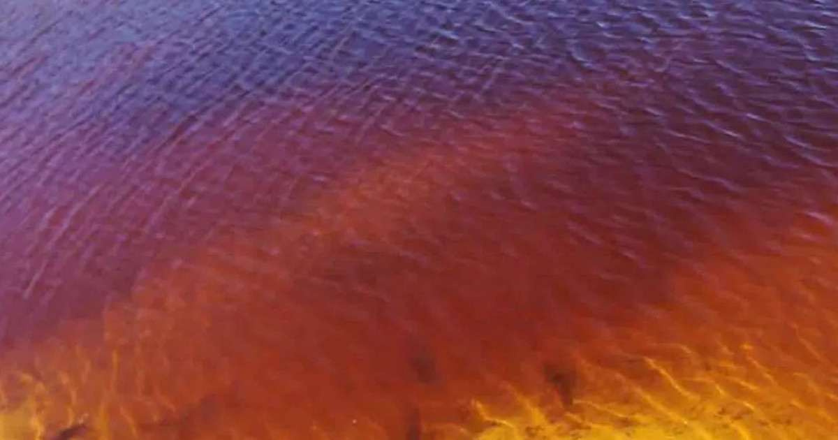 Ανακαλύψτε τη μαγική μέθοδο που μετατρέπει τα τοξικά απόβλητα των ορυχείων σε καθαρό πόσιμο νερό!