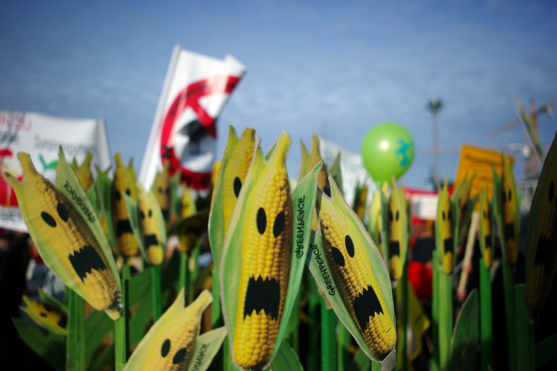 Σοκ και Δέος: Η Greenpeace προειδοποιεί – Τα νέα μεταλλαγμένα κρύβουν τους ίδιους κινδύνους! Η Ελλάδα πρέπει να πει ένα δυνατό «όχι» στη νέα νομοθεσία!