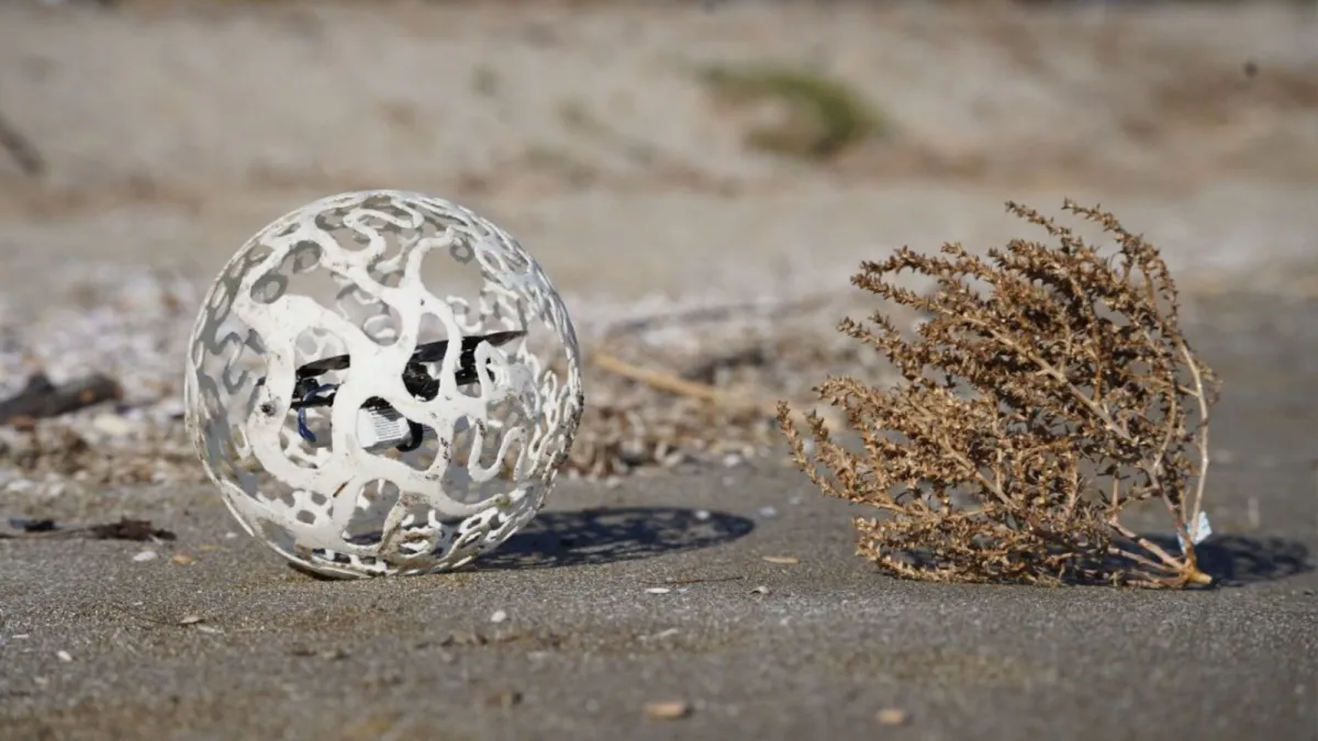 Τα Tumbleweeds εμπνέουν αυτό το κυλιόμενο, ελαστικό ρομπότ