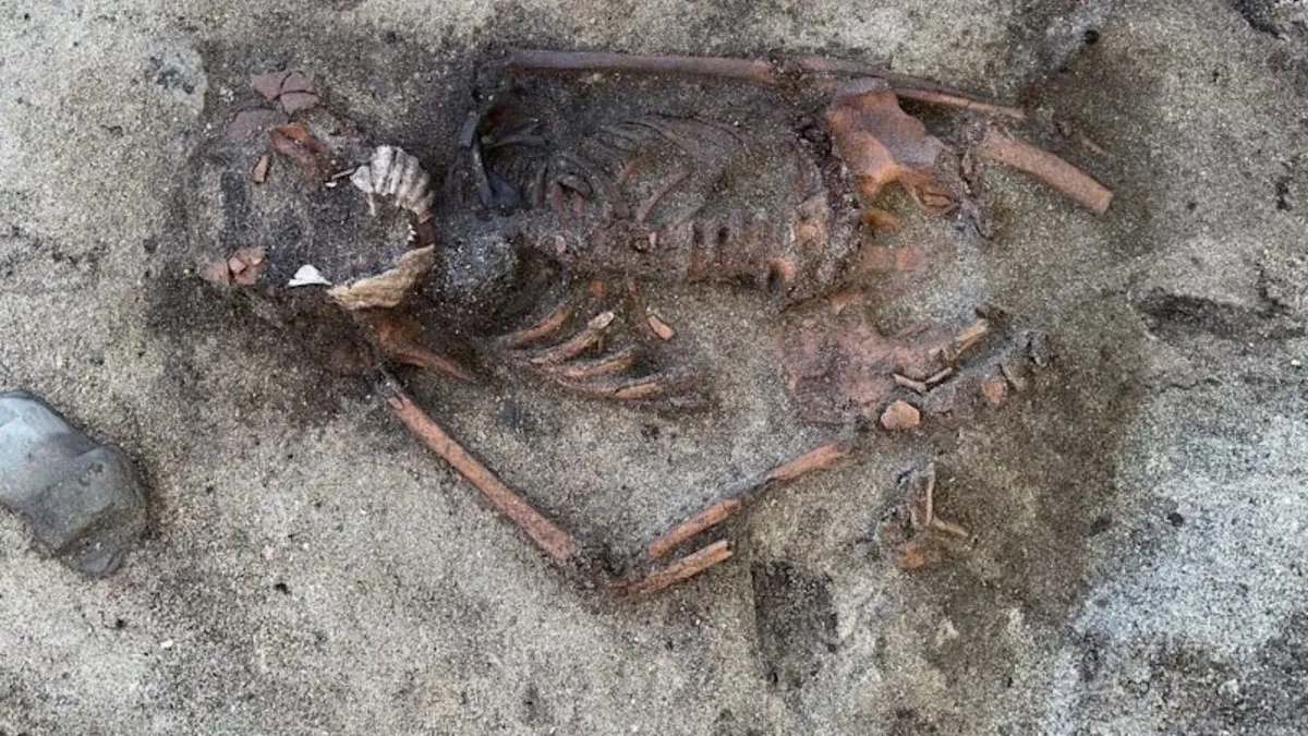 Άνδρας με ανιχνευτή μετάλλων σκοντάφτει στον μπερδεμένο τάφο της Εποχής των Βίκινγκς