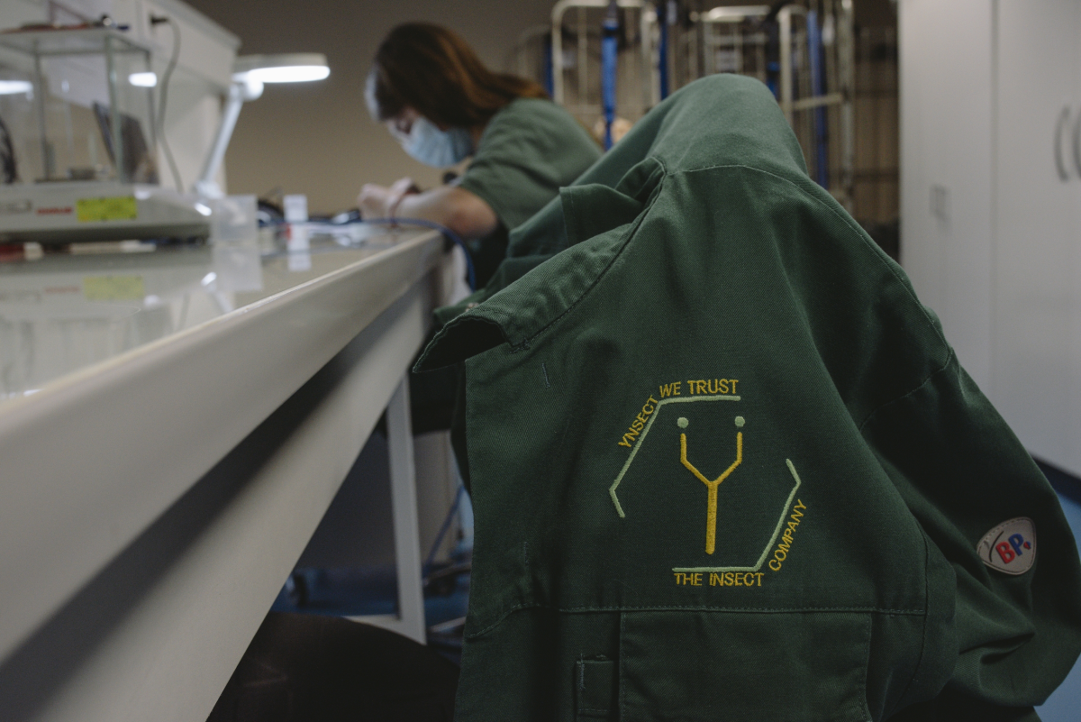 Πώς η πραγματικότητα συνέτριψε την Ÿnsect, τη γαλλική startup που είχε συγκεντρώσει πάνω από 600 εκατομμύρια δολάρια για την εκτροφή εντόμων