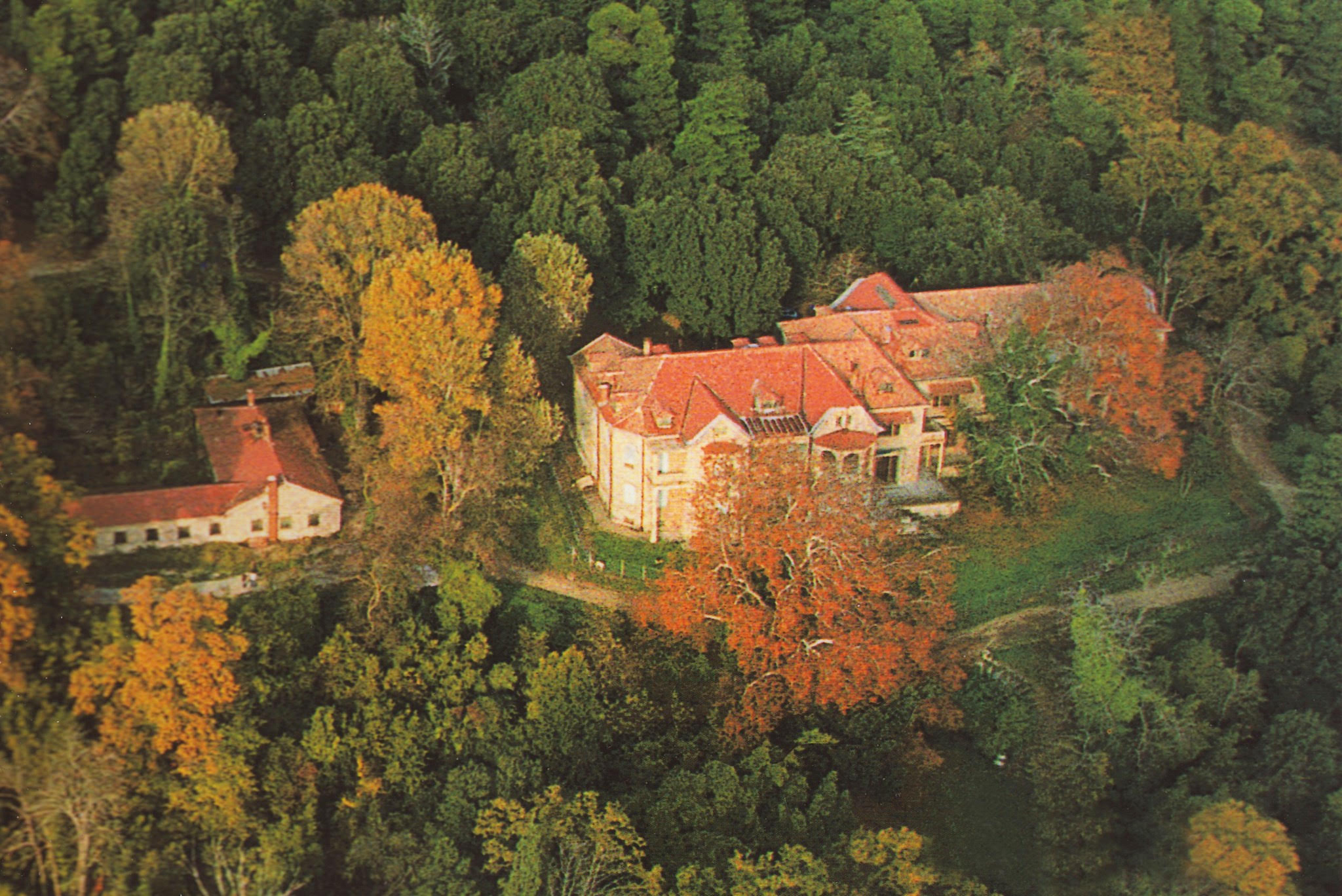 «Τατόι: Μια Επένδυση που Θ’ Αλλάξει τα Πάντα – Ξεκίνησε ο Διαγωνισμός!»