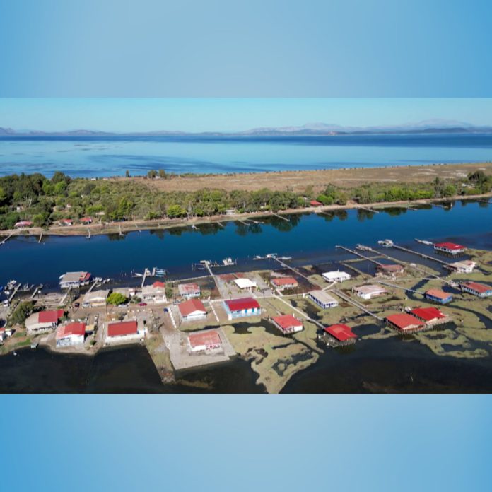 «Από το Χωράφι στο Ράφι»: Αυγοτάραχο Μεσολογγίου -