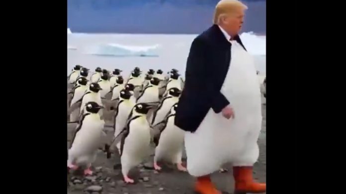 Ο Τραμπ ηγείται και των... πιγκουίνων στην Ανταρκτική