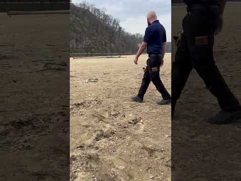 Εγκαταλελειμμένοι χοίροι διασώθηκαν στα νησιά Looney του Τενεσί