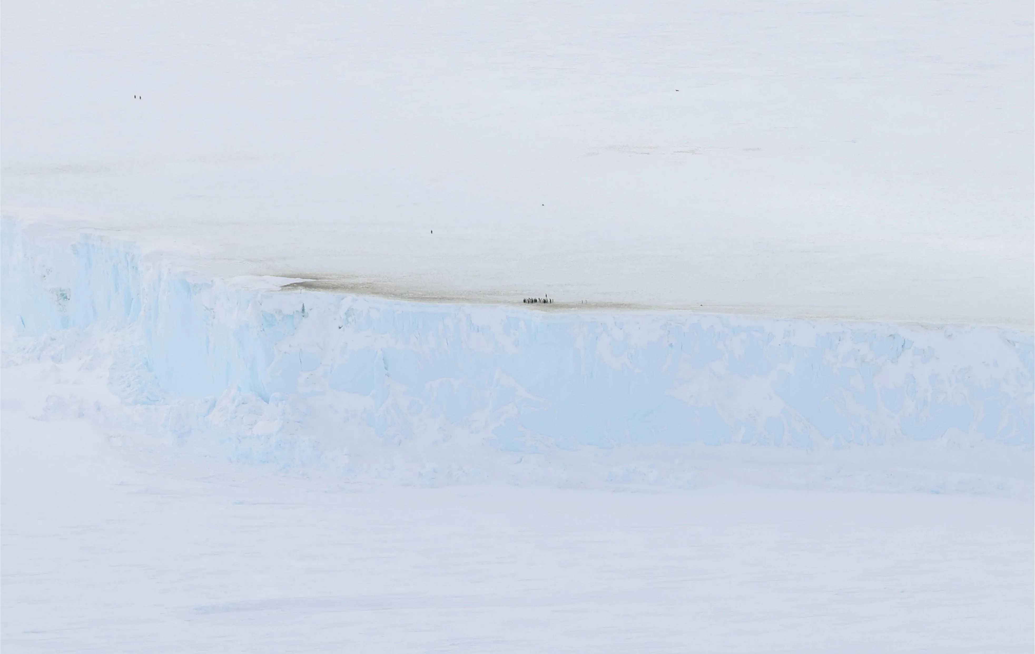φωτογραφία με σμίκρυνση του βράχου πάγου και των πιγκουίνων που στέκονται στην κορυφή
