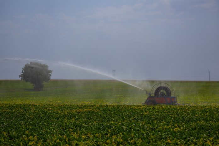 Ταγατόζη, η γλυκειά: Έφτιαξαν στο εργαστήριο υποκατάστατο της ζάχαρης με την ίδια γεύση, λιγότερο βλαβερό και πιο φτηνό - Αντέγραψαν τη φύση [video]