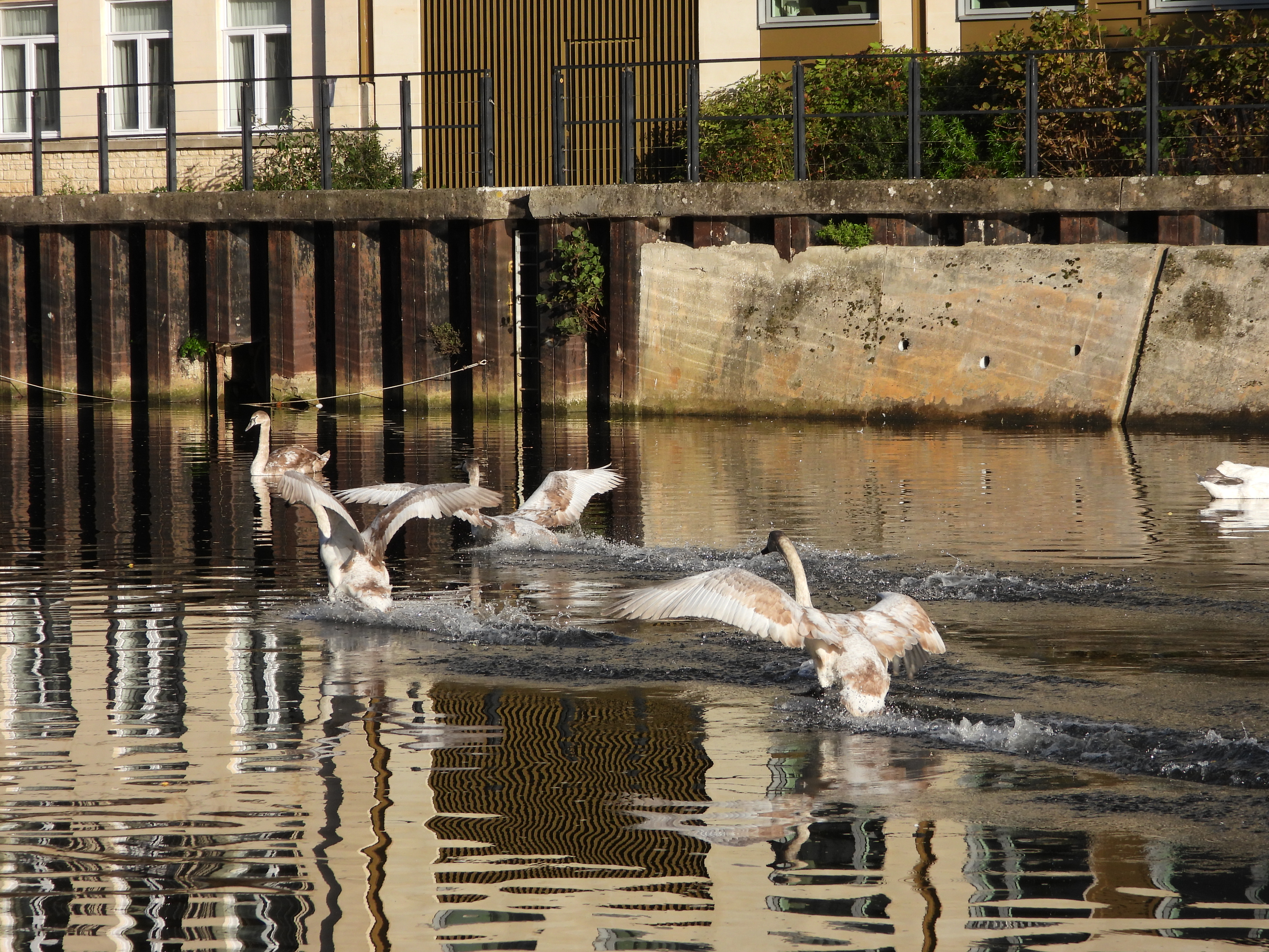 Μια φωτογραφία που τραβήχτηκε σε ψηφιακή φωτογραφική μηχανή Nikon Coolpix P1100