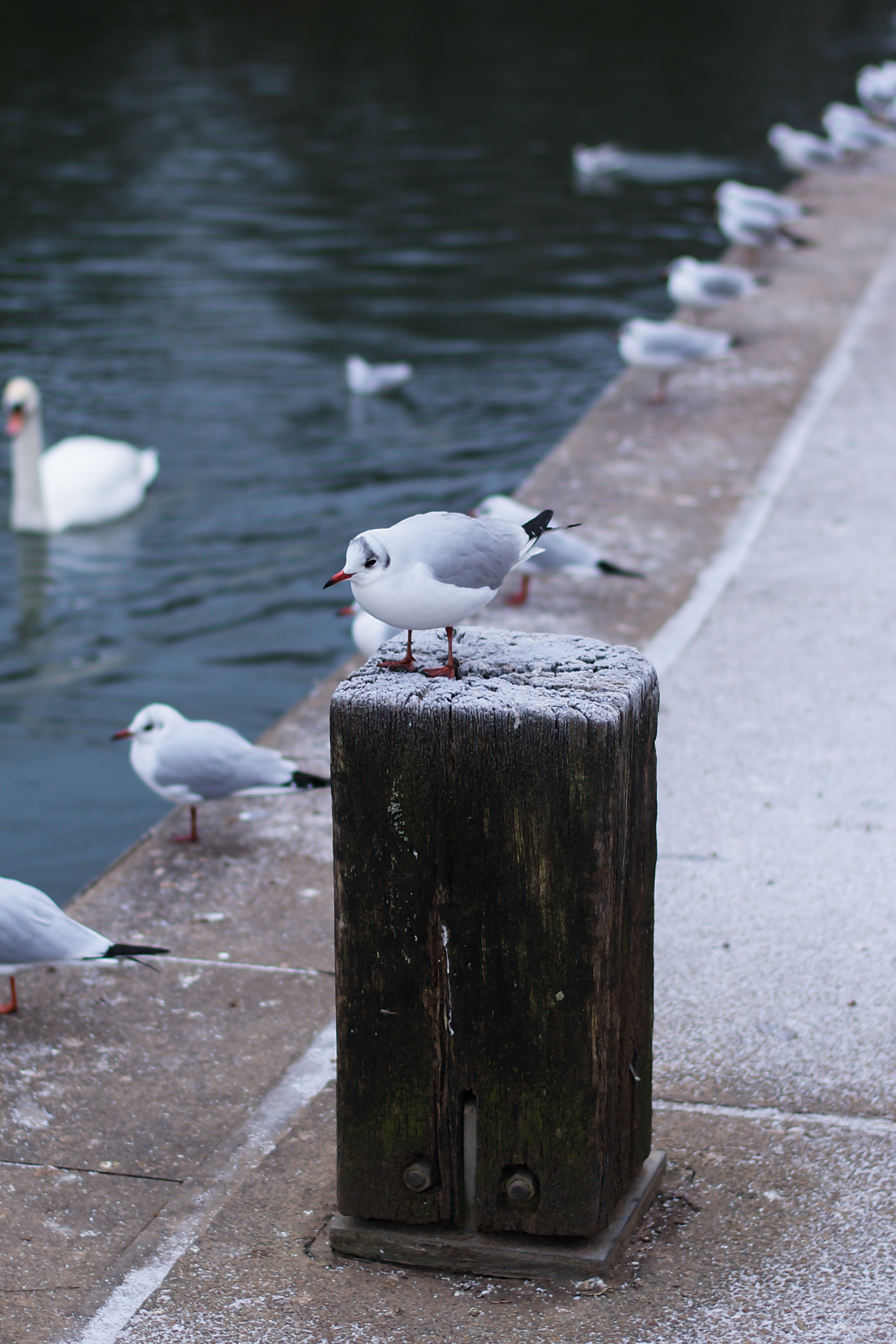 Leica M EV1: Η Απόλυτη M-Series Κάμερα που Θα σας Κάνει να Θέλετε να Ξεκινήσετε Φωτογραφία Άμεσα! A photo taken on a Leica M EV1 rangefinder-style camera