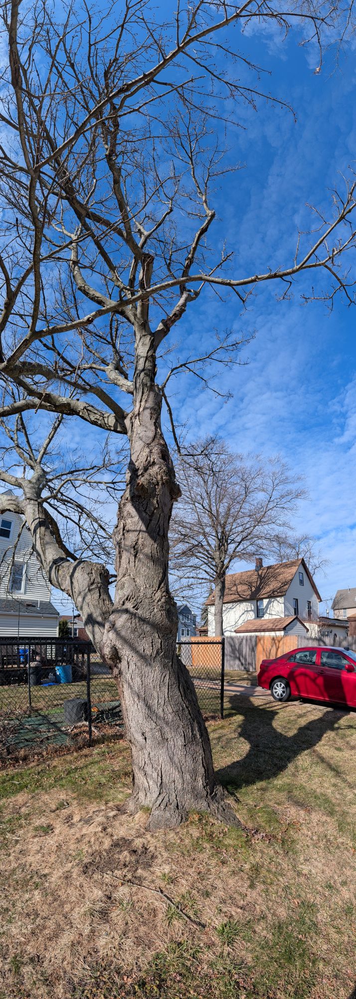 Δείγμα κάθετου πανοράματος Google Pixel 10 Pro XL.