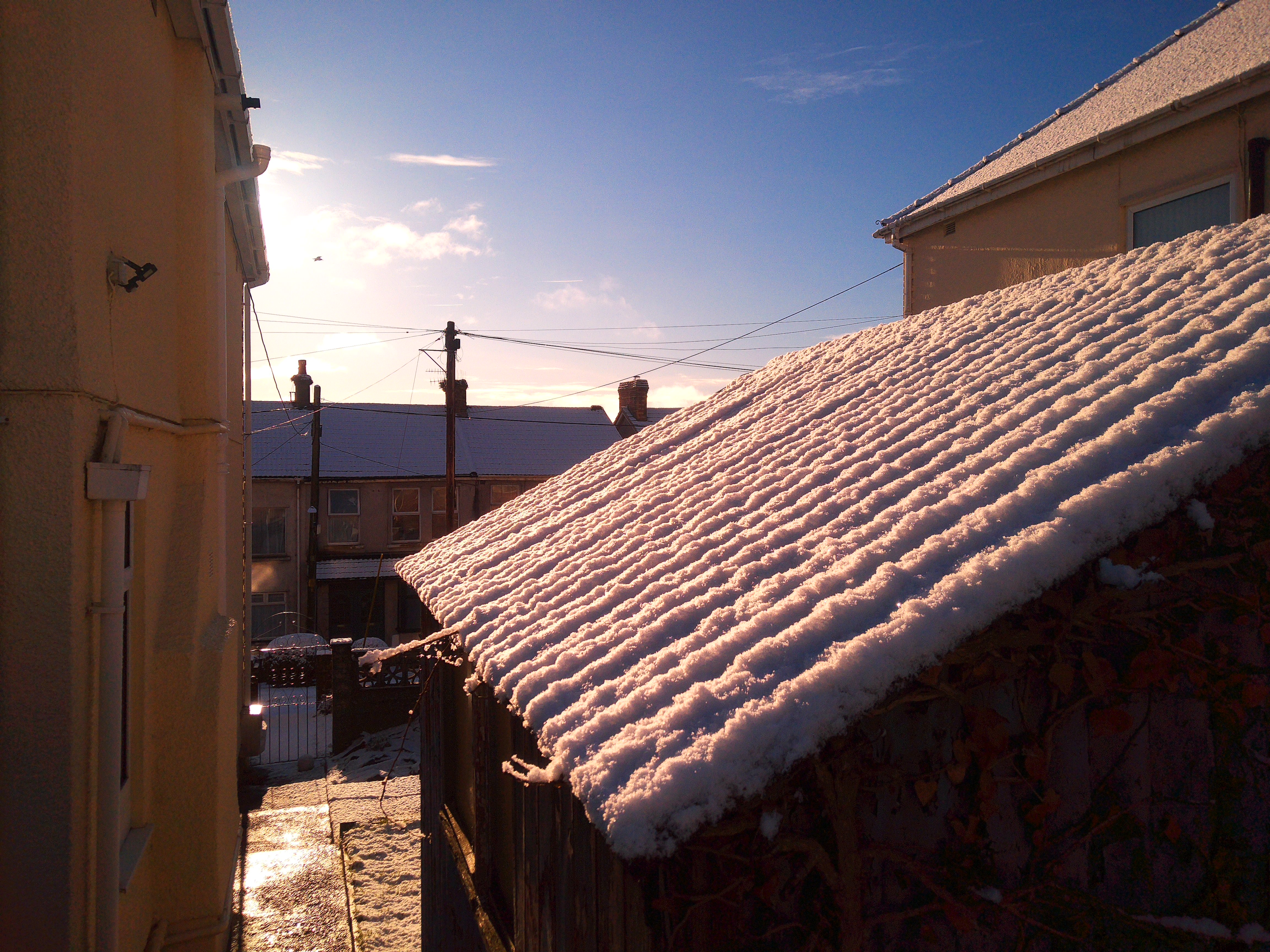 Images taken on the Camp Snap CS-Pro