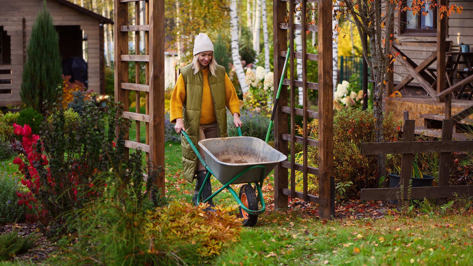 7 Απίθανοι Τρόποι να Χρησιμοποιήσεις το Χριστουγεννιάτικο Δέντρο σου που δεν Φαντάστηκες! Φθινοπωρινός κήπος