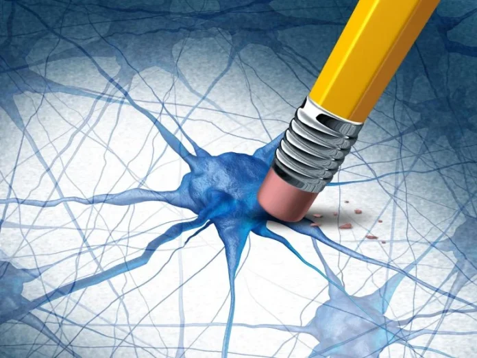 Επιστήμονες ανακάλυψαν φυσικό μόριο μακροζωίας που αποκαθιστά τη μνήμη σε μοντέλα Αλτσχάιμερ