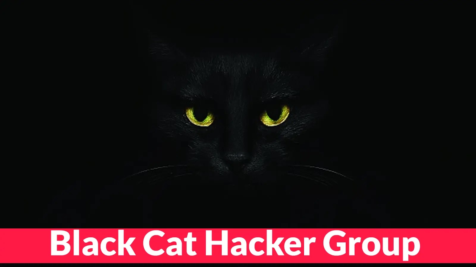 Ομάδα χάκερ Black Cat με Fake Notepad++ Sites Εγκαταστήστε κακόβουλο λογισμικό για κλοπή δεδομένων