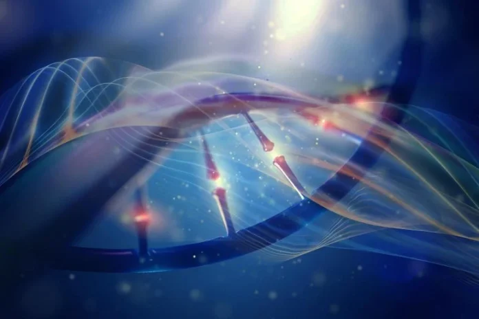 Οι επιστήμονες ανακάλυψαν έναν παγκόσμιο κανόνα που δεσμεύει την εξέλιξη