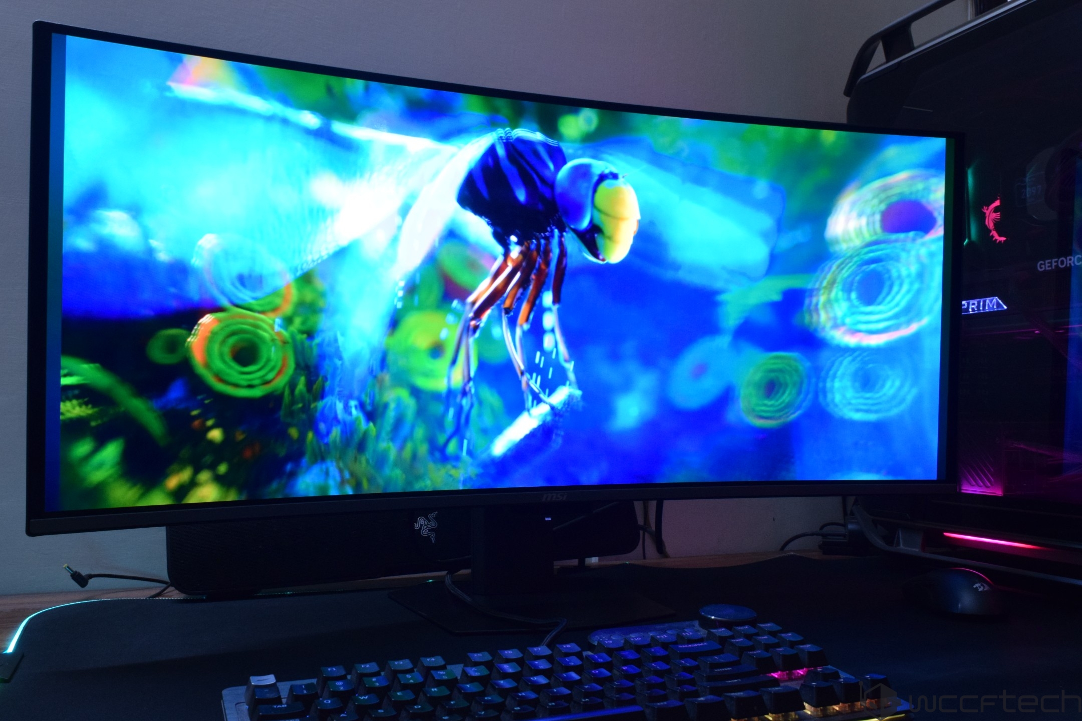 A Razer logo is visible on a monitor displaying a vibrant, colorful digital artwork of an insect, with an MSI keyboard below and an illuminated PC housing with visible 'GEFORCE' text nearby.