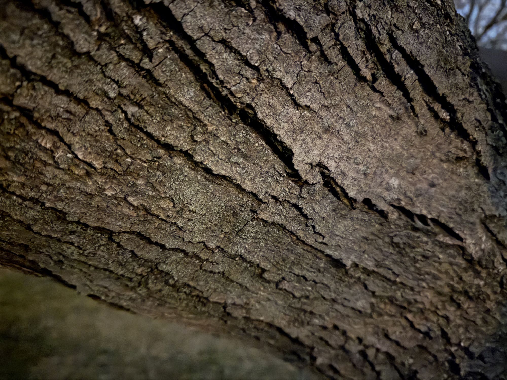 Δείγμα μέγιστης νυχτερινής λειτουργίας iPhone.