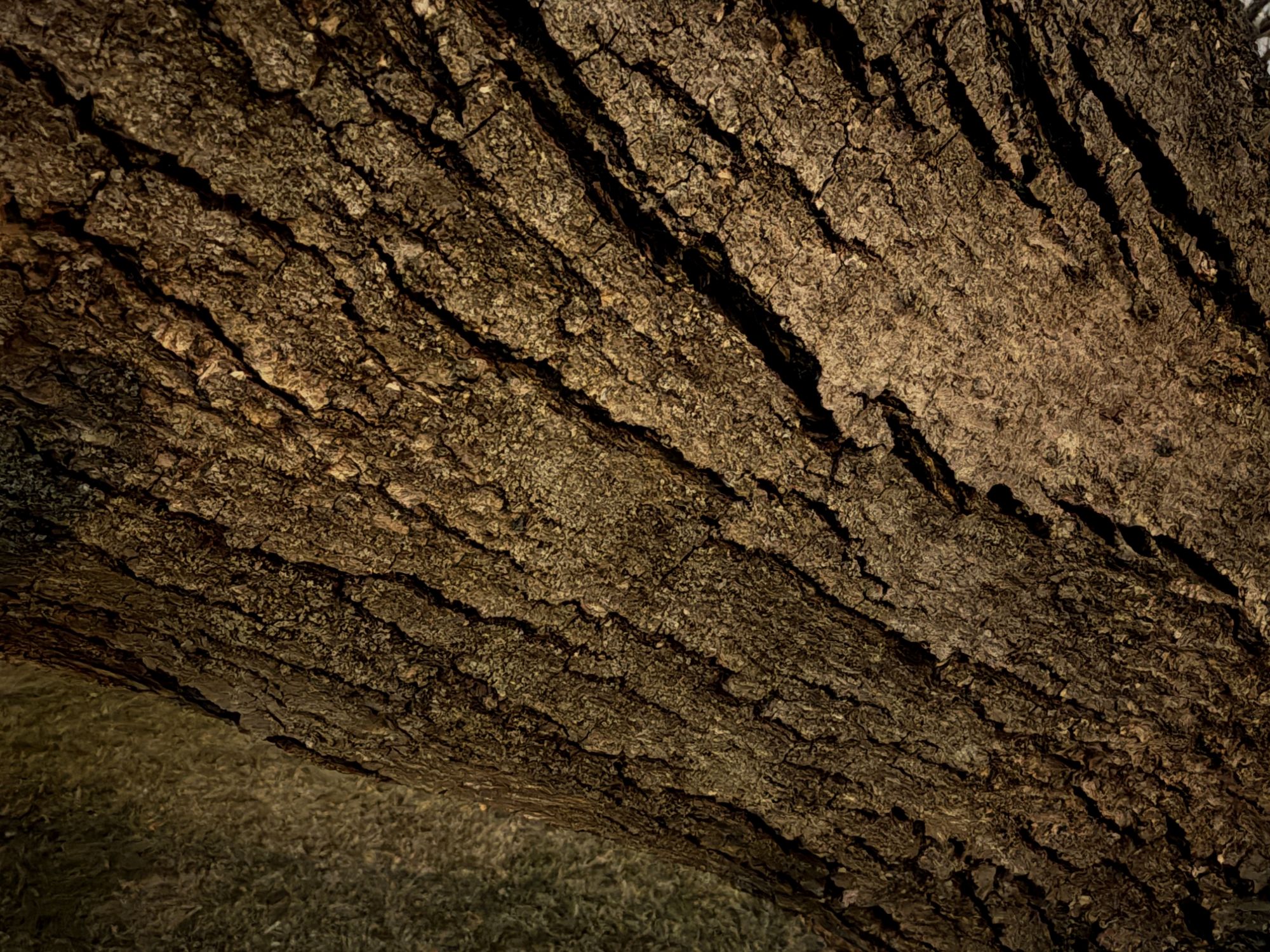 Δείγμα μέγιστης νυχτερινής λειτουργίας iPhone.