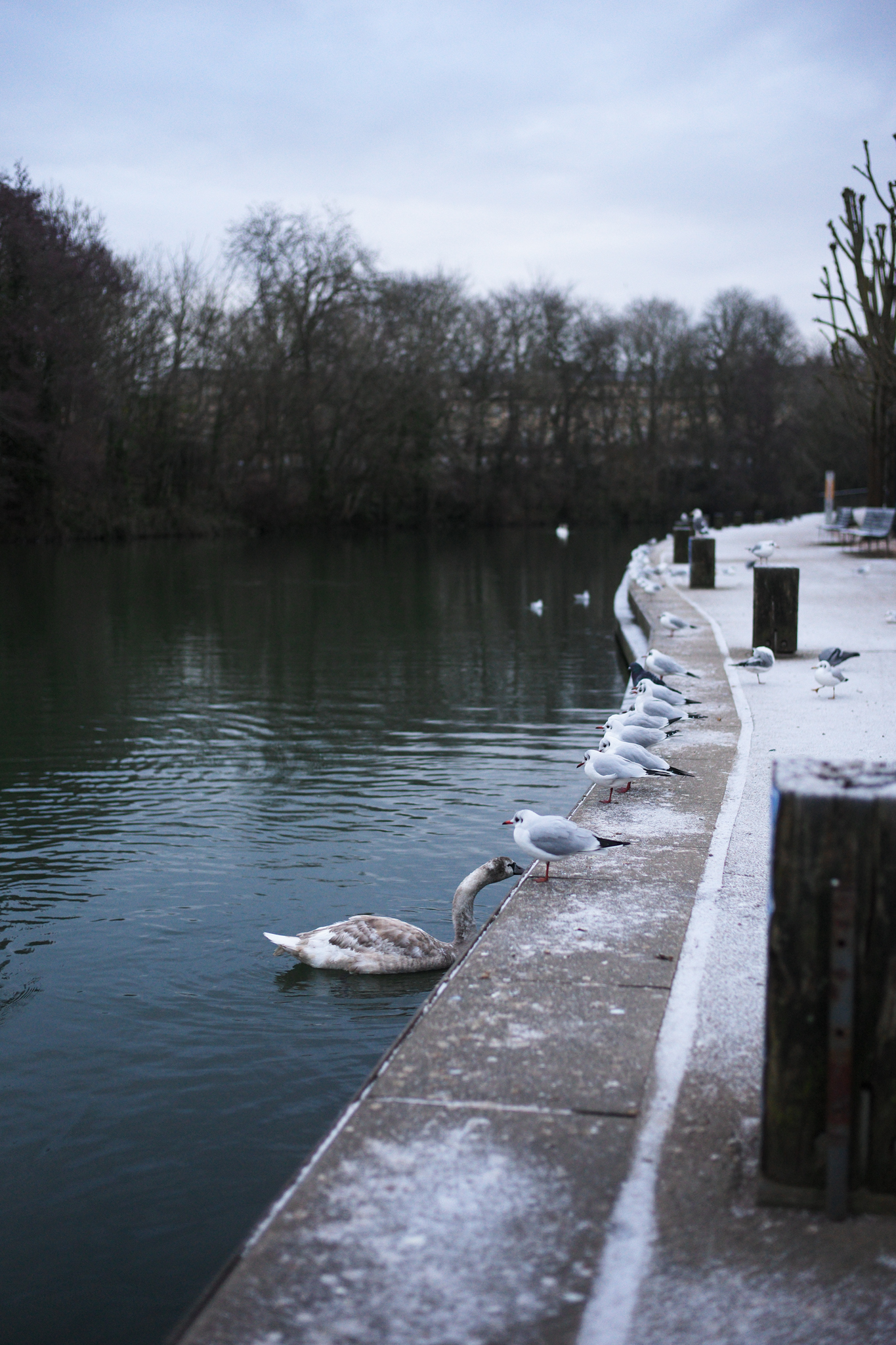 Ανακάλυψα το αμφιλεγόμενο Leica M EV1: Γιατί προτιμώ τον αγαπημένο μου με 4,5 αστέρια! Μια φωτογραφία τραβηγμένη σε κάμερα Leica M EV1