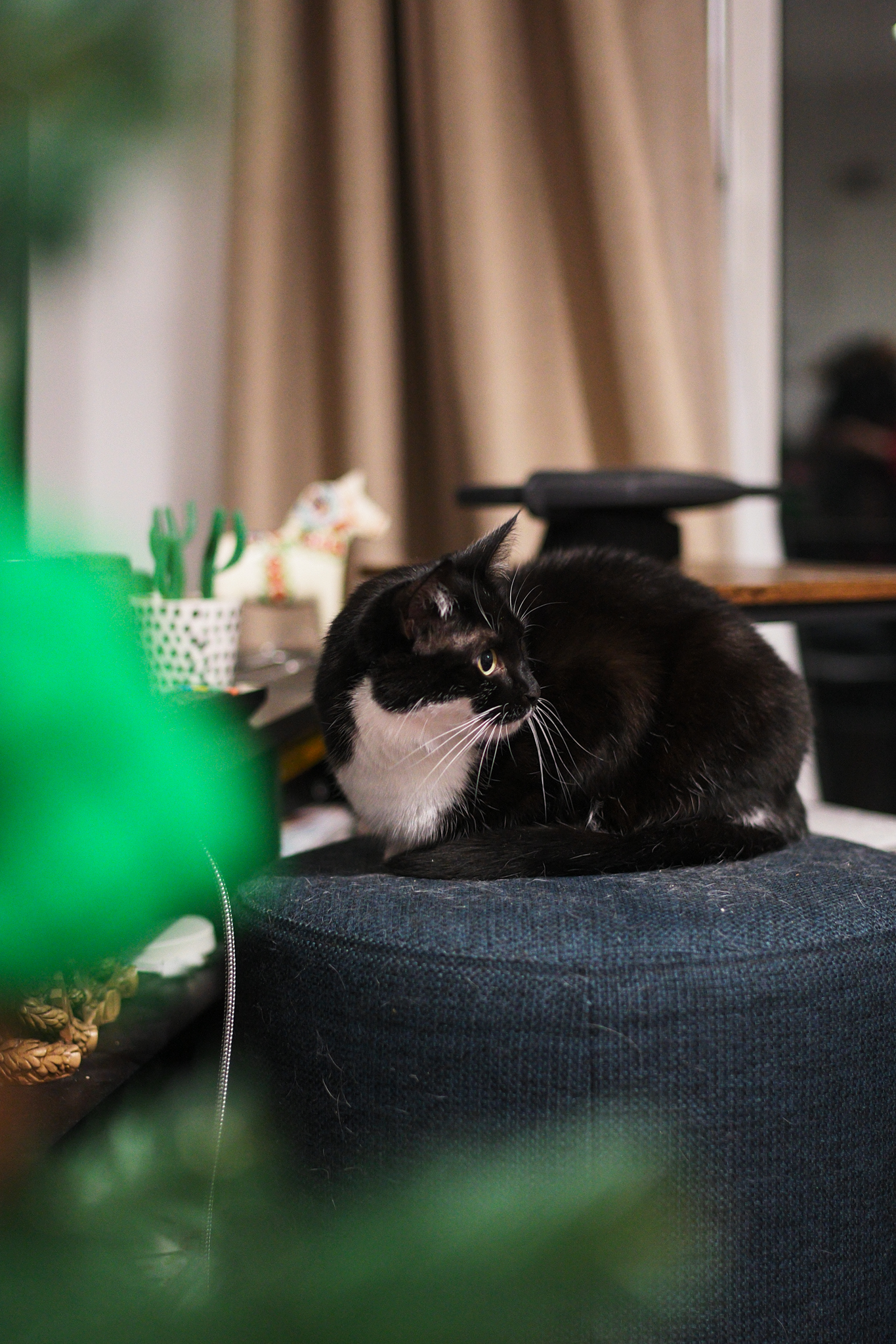 Ανακάλυψα το αμφιλεγόμενο Leica M EV1: Γιατί προτιμώ τον αγαπημένο μου με 4,5 αστέρια! Μια φωτογραφία που τραβήχτηκε σε μια ψηφιακή φωτογραφική μηχανή σε στιλ αποστασιόμετρου Leica M EV1