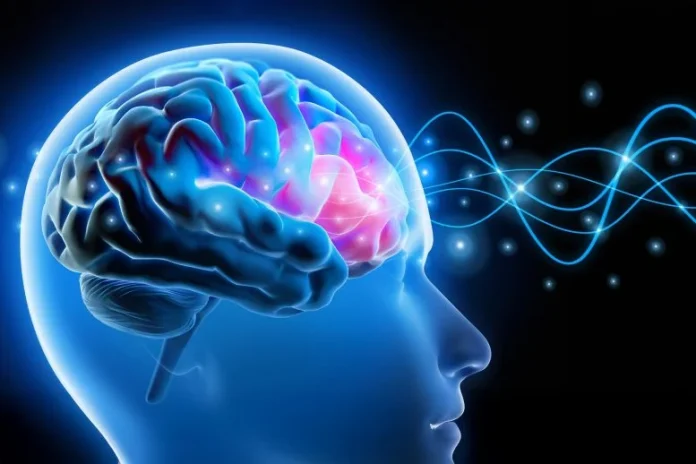 Ο ρυθμός στον εγκέφαλό σας που χαράζει τη γραμμή ανάμεσα σε εσάς και τον κόσμο