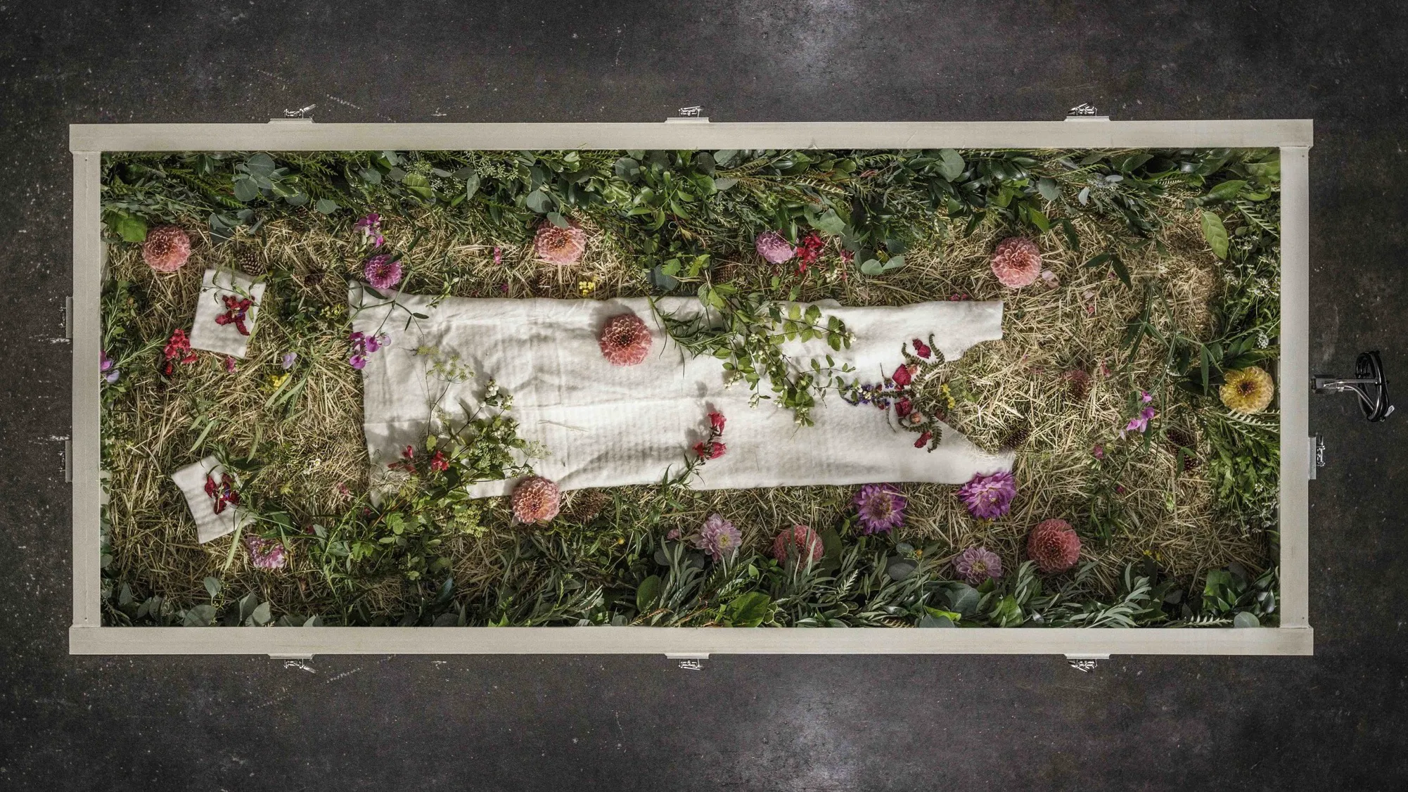 Αποτέφρωση ή κασετίνα; Εδώ είναι η πιο φιλική προς το περιβάλλον επιλογή ταφής. Μια φωτογραφία από πάνω από ένα ανθρώπινο δοχείο κομποστοποίησης, που μοιάζει με ένα μακρύ, ορθογώνιο κουτί ζαρντινιέρας με ένα ελαφρύ ξύλινο πλαίσιο. Το εσωτερικό περιέχει ένα στρώμα από άχυρο, ροκανίδια και οργανικό υλικό, με πολύχρωμα ροζ και μοβ λουλούδια διάσπαρτα παντού. Μια λευκή φόρμα τυλιγμένη με ύφασμα στηρίζεται στο κέντρο.