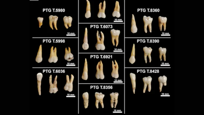 Τα δόντια της Εποχής του Σιδήρου αποκαλύπτουν τις κρυμμένες ζωές των αρχαίων Ιταλών