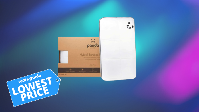 Τα φτηνά μαξιλάρια έκαναν τον πόνο στον ώμο μου χειρότερο — αυτό στο οποίο άλλαξα για πιο άνετο ύπνο μόλις έπεσε στη χαμηλότερη τιμή του ποτέ