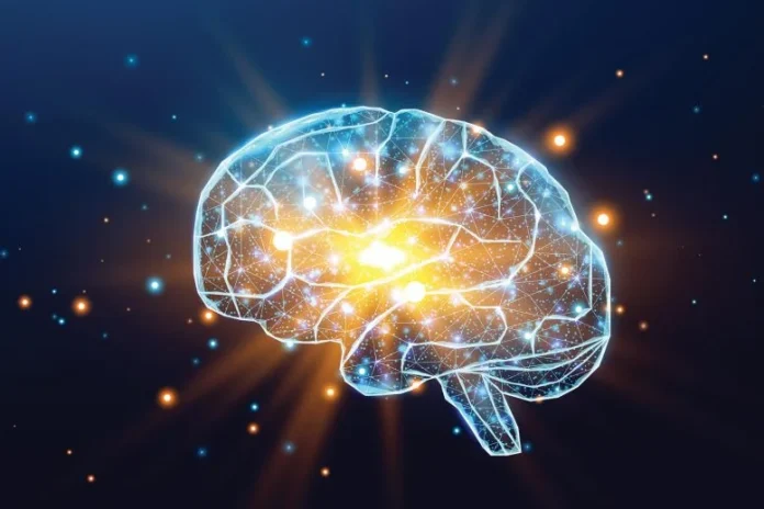 Ο εγκέφαλός σας δεν τελειώνει μαγικά την ανάπτυξη στα 25. Εδώ είναι τι συμβαίνει στην πραγματικότητα