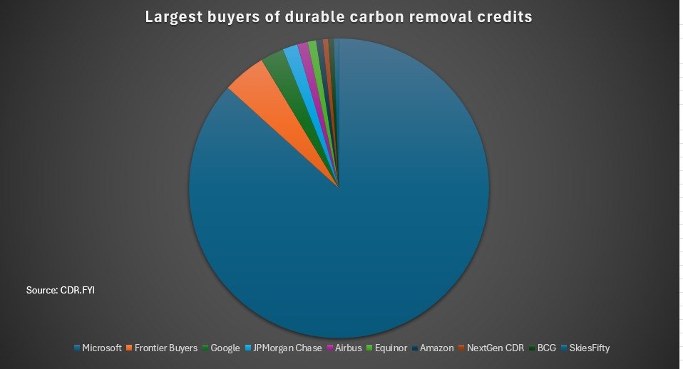 Οι μεγαλύτεροι αγοραστές πιστώσεων αφαίρεσης άνθρακα από την ατμόσφαιρα. H Microsoft έρχεται πρώτη με διαφορά (Reuters).