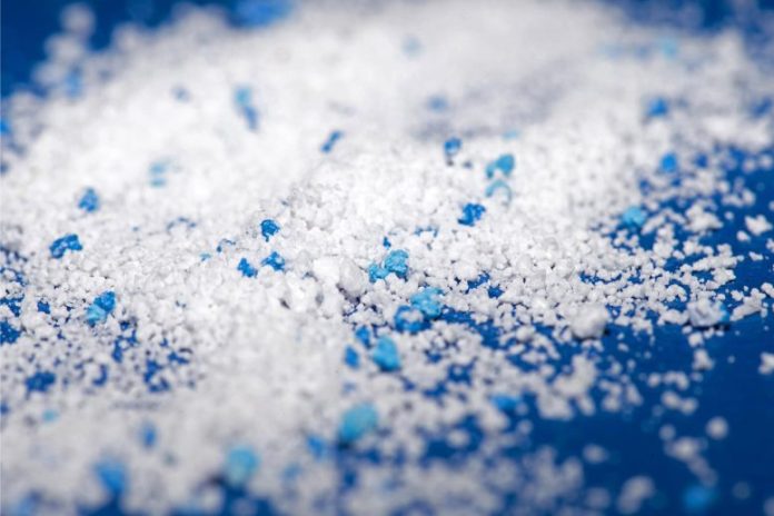 Ακόμη και η Ανταρκτική δεν είναι ασφαλής: Βρέθηκαν μικροπλαστικά μέσα στο μοναδικό έντομο της ηπείρου