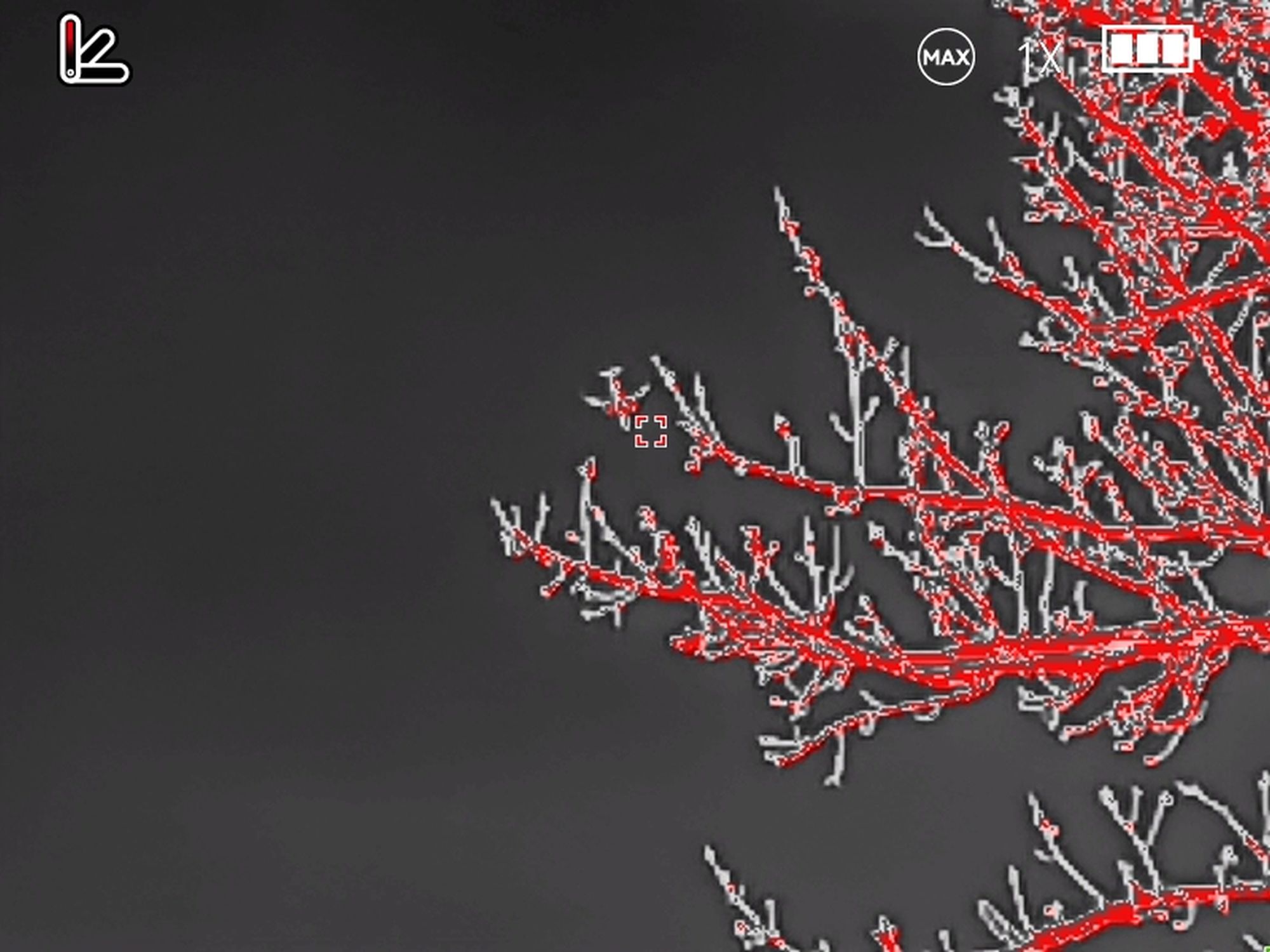 Δείγμα Mileseey Optics TNV10 Pro.