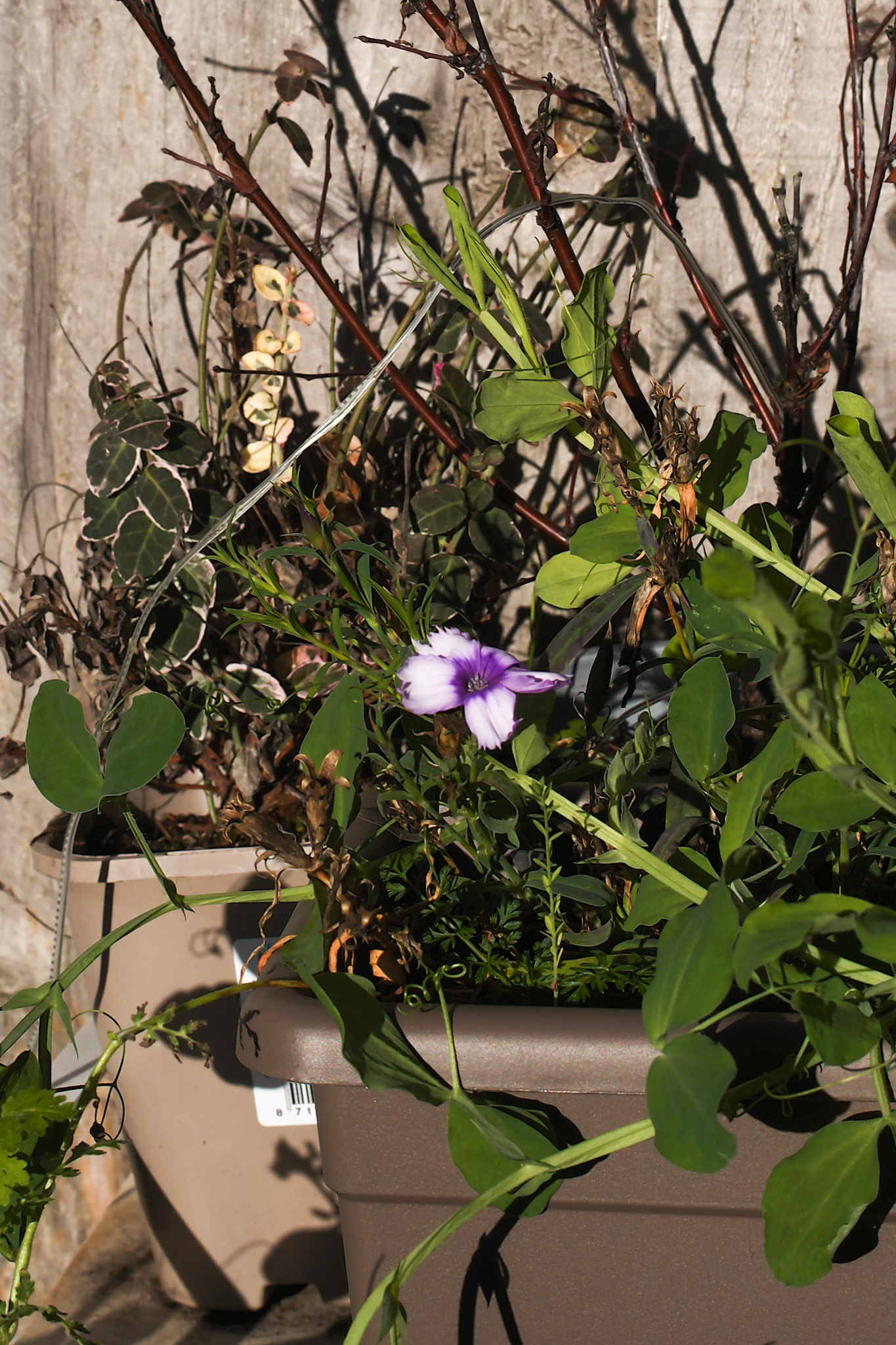 Leica M EV1: Η Απόλυτη M-Series Κάμερα που Θα σας Κάνει να Θέλετε να Ξεκινήσετε Φωτογραφία Άμεσα! A photo taken on a Leica M EV1 rangefinder-style camera