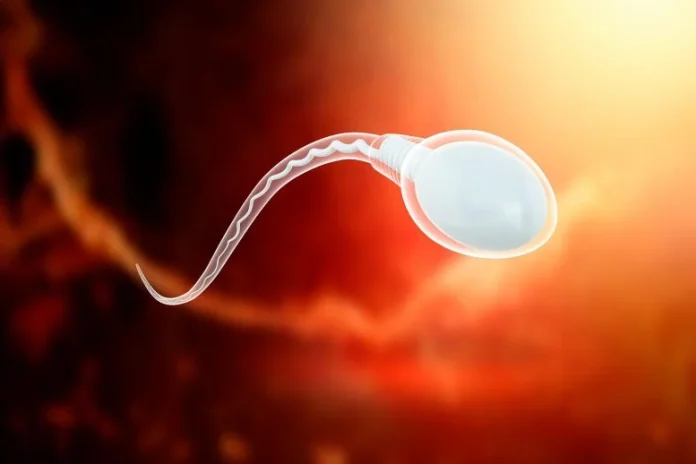 Τα μικροπλαστικά μπορούν να επανασυνδέσουν το σπέρμα, προκαλώντας διαβήτη στην επόμενη γενιά