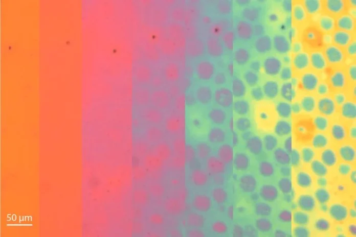 Ερευνητές του Στάνφορντ αναπτύσσουν νέο υλικό που αλλάζει χρώμα και υφή σαν χταπόδι