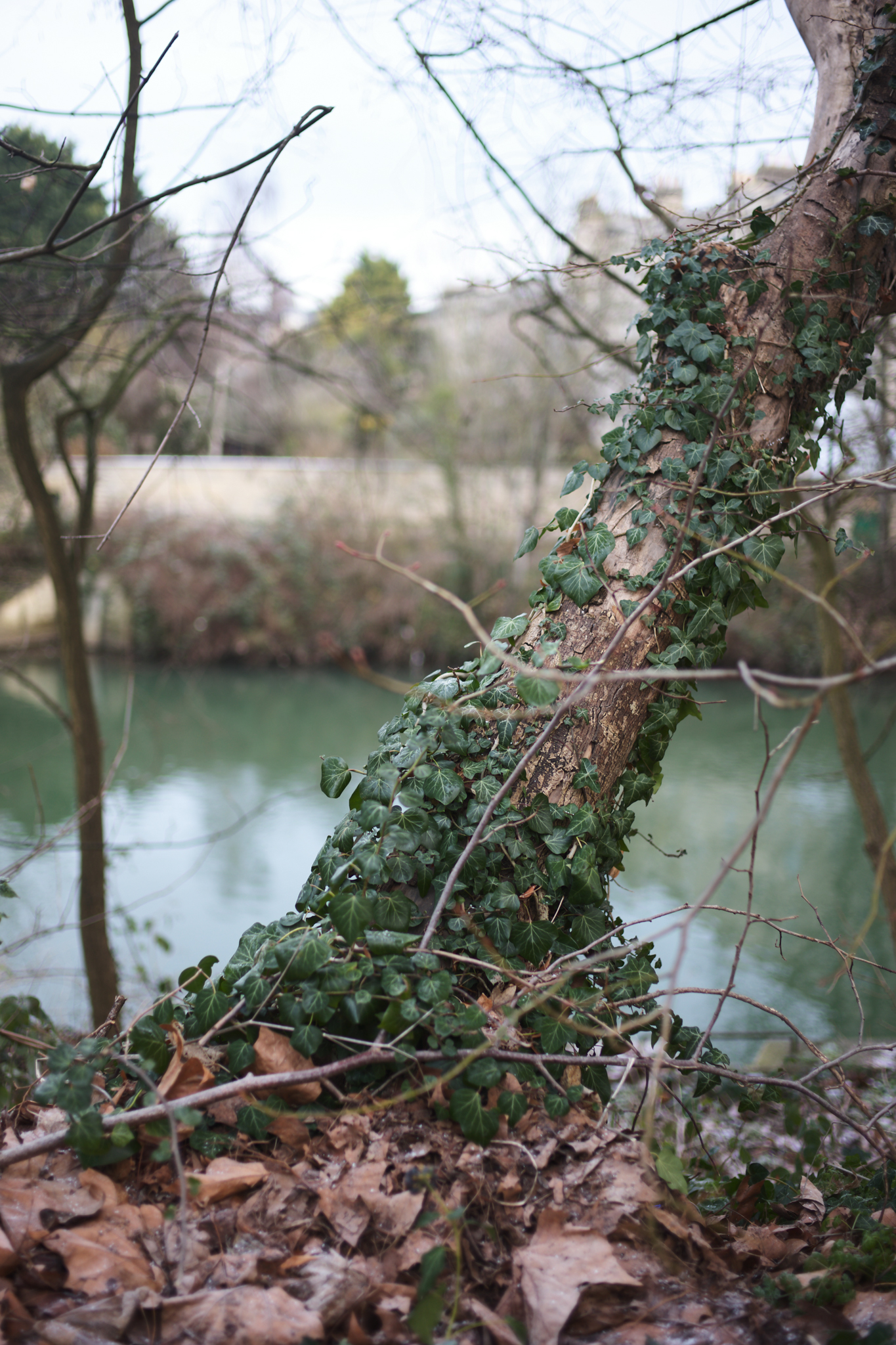 Ανακάλυψα το αμφιλεγόμενο Leica M EV1: Γιατί προτιμώ τον αγαπημένο μου με 4,5 αστέρια! Μια φωτογραφία τραβηγμένη σε κάμερα Leica M EV1