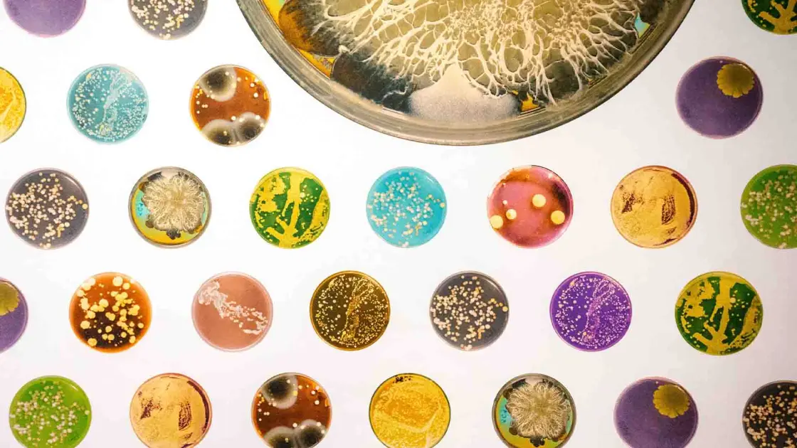 «Ανακαλύψτε γιατί ορισμένα μικρόβια είναι οι καλύτεροι σύμμαχοι για την υγεία σας!»