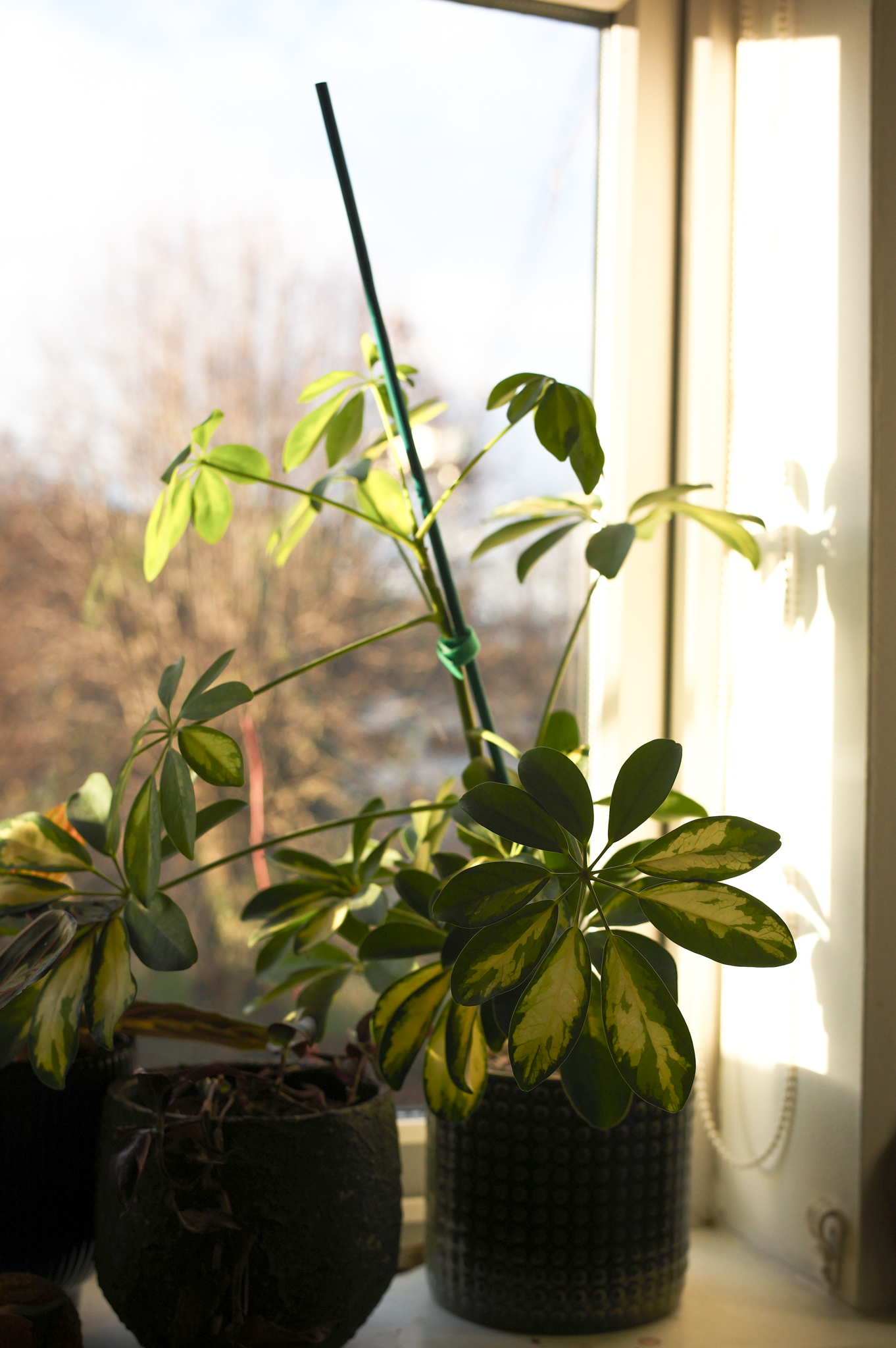 Leica M EV1: Η Απόλυτη M-Series Κάμερα που Θα σας Κάνει να Θέλετε να Ξεκινήσετε Φωτογραφία Άμεσα! A photo taken on a Leica M EV1 rangefinder-style camera