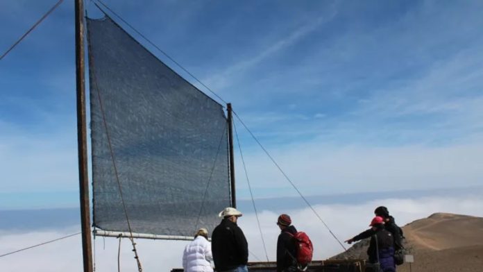 Ποιες είναι οι πράσινες καινοτομίες που αλλάζουν τα δεδομένα στον αγώνα κατά της κλιματικής αλλαγής