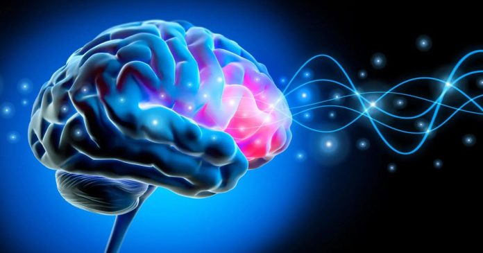 Γιατί νιώθεις το σώμα σου δικό σου; Η απάντηση κρύβεται σε έναν εγκεφαλικό ρυθμό