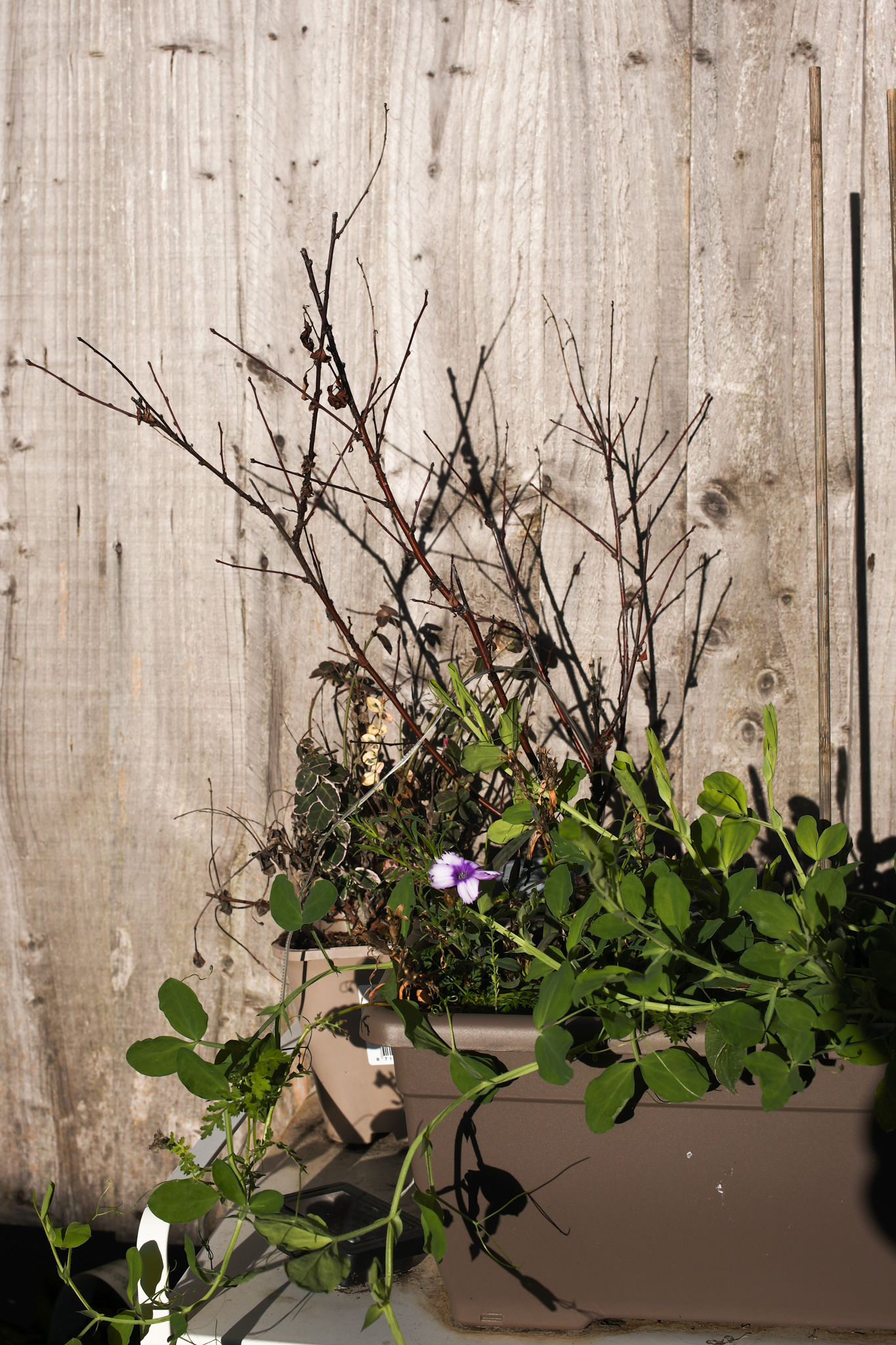 Leica M EV1: Η Απόλυτη M-Series Κάμερα που Θα σας Κάνει να Θέλετε να Ξεκινήσετε Φωτογραφία Άμεσα! A photo taken on a Leica M EV1 rangefinder-style camera