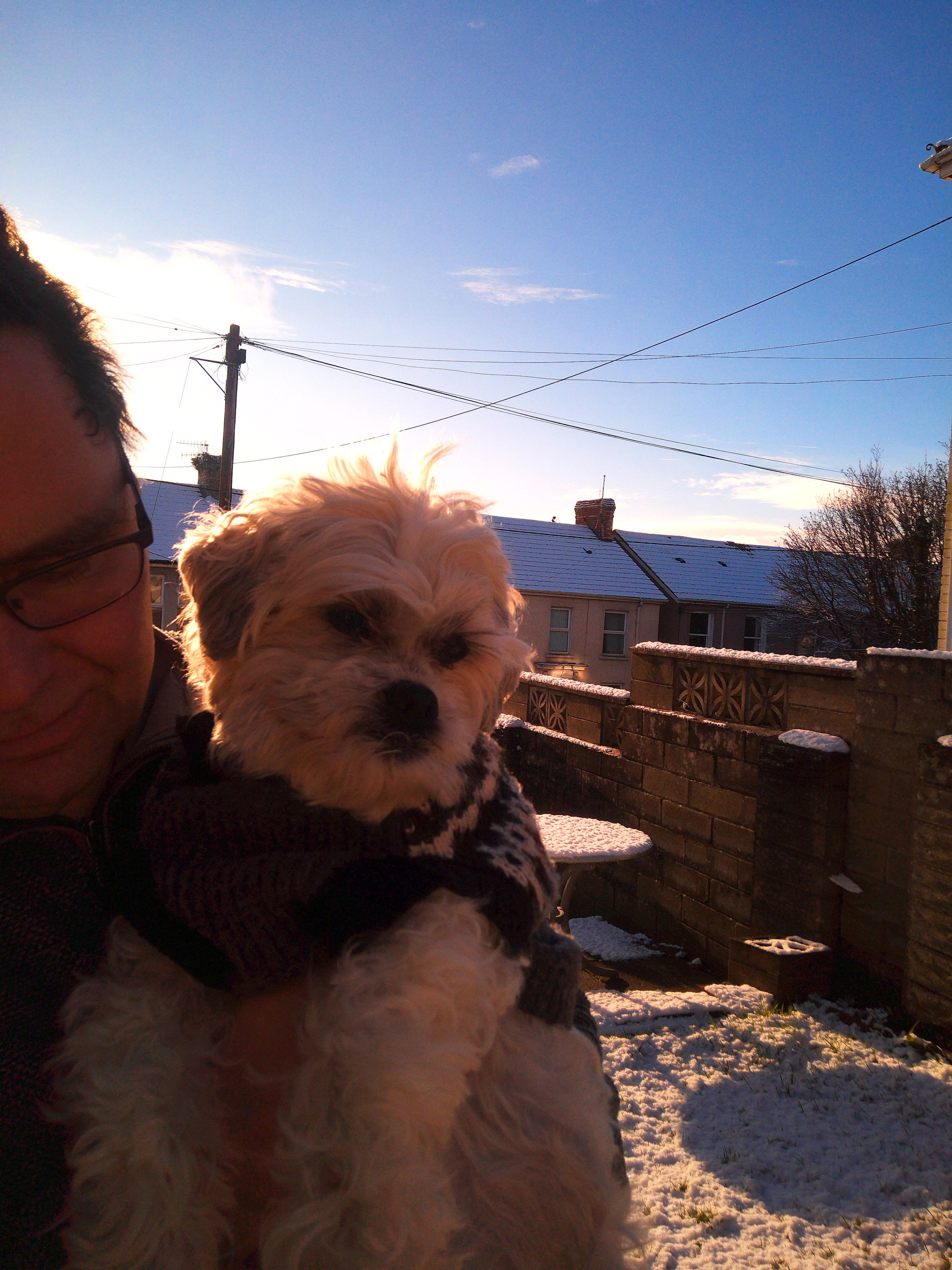 Picture of a dog in snow taken with the Camp Snap CS-Pro
